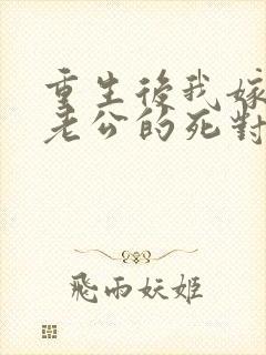 重生后我嫁给了老公的死对头 短剧