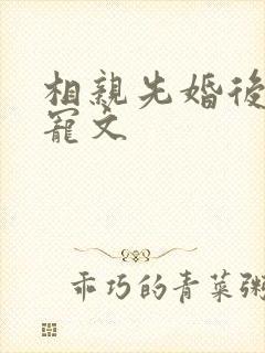 相亲先婚后爱甜宠文