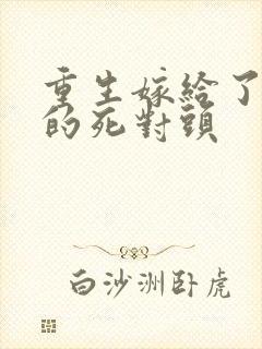 重生嫁给了渣男的死对头