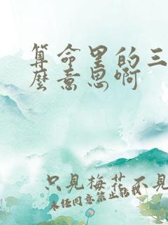 算命里的三财什么意思啊