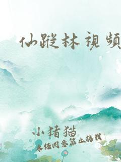 仙踪林视频在线