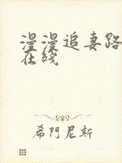 漫漫追妻路小说在线