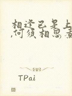 相逢已是上上签,何须相思煮余年的意思