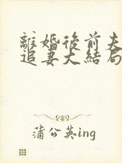 离婚后前夫日日追妻大结局