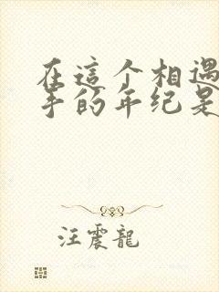 在这个相遇又分手的年纪是什么歌