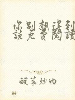 你别想得到我小说免费阅读