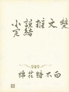 小说推文双女主完结