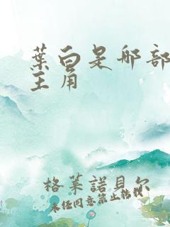 叶白是哪部小说主角