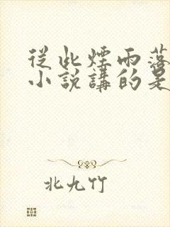 从此烟雨落金城小说讲的是