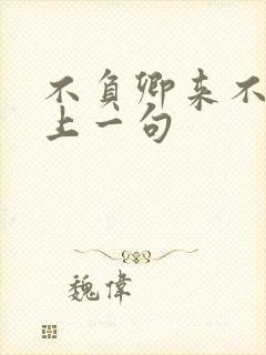 不负卿来不负君上一句