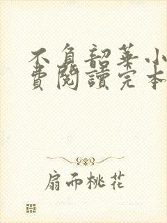 不负韶华小说免费阅读完本