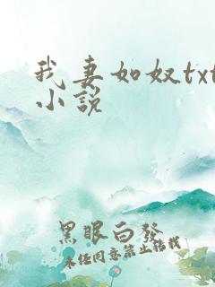 我妻如奴txt小说