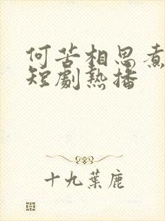 何苦相思煮余年短剧热播