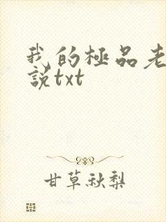 我的极品老婆小说txt