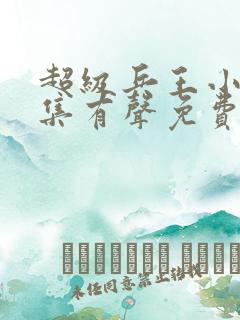 超级兵王小说全集有声免费听