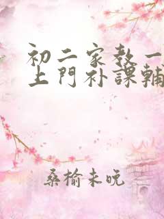 初二家教一对一上门补课辅导