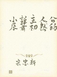 小说主人公叫叶辰萧初然的小说名