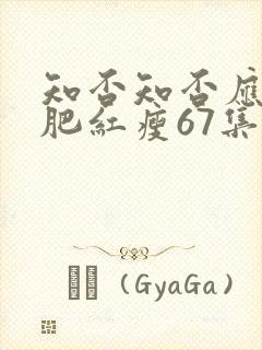 知否知否应是绿肥红瘦67集在线观看