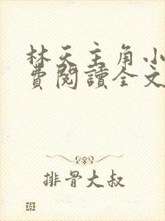 林天主角小说免费阅读全文