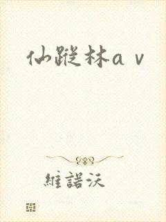 仙踪林aⅴ