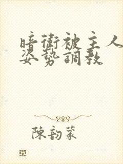 暗卫被主人各种姿势调教