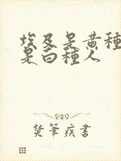 埃及是黄种人还是白种人