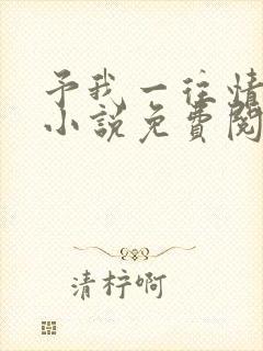 予我一往情深 小说免费阅读完本