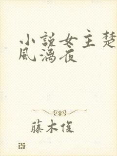 小说女主楚倾歌风漓夜