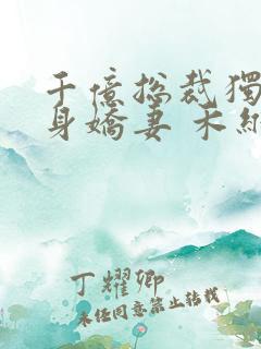 千亿总裁独宠替身娇妻 禾维