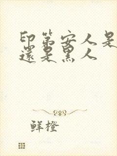 印第安人是白人还是黑人