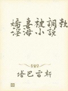 娇妻被调教堕落淫海小说