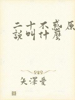 二十不惑原著小说叫什么