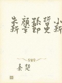 朱颜孙哲小说最新章节更新内容