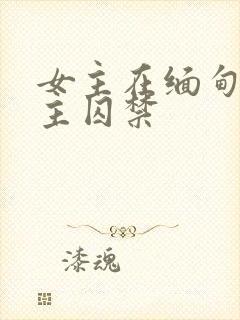 女主在缅甸被男主囚禁