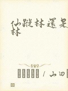 仙踪林还是仙踪林