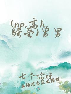 (np,高h,骚受)男男