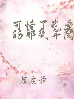 可惜了我爱着你的那几年阅读全文