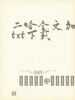 二哈全文加番外txt下载