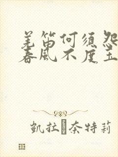 羌笛何须怨杨柳春风不度玉门关全诗