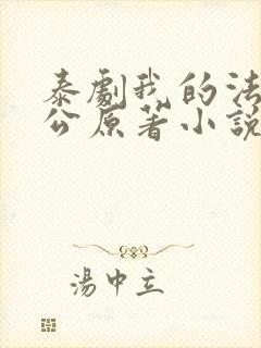 泰剧我的法定老公原著小说