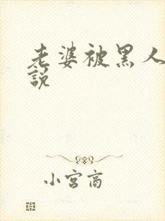 老婆被黑人日小说