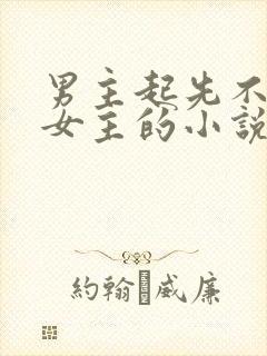 男主起先不喜欢女主的小说