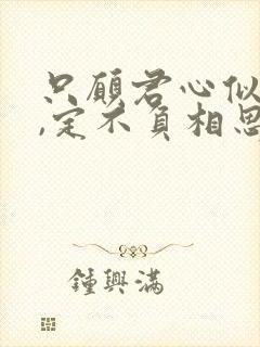 只愿君心似我心,定不负相思意下一句