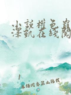 小说权色巅峰罗泽凯在线阅读