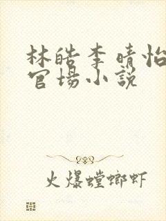 林皓李晴怡重生官场小说