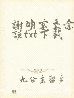 谢明宴季念窈小说txt下载