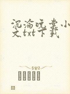 沉沦晚棠小说全文txt下载