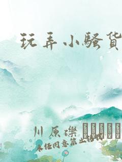 玩弄小骚货小说