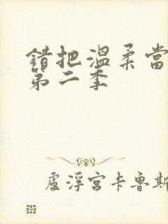 错把温柔当情深第二季