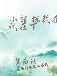 小说 总裁在上我在下